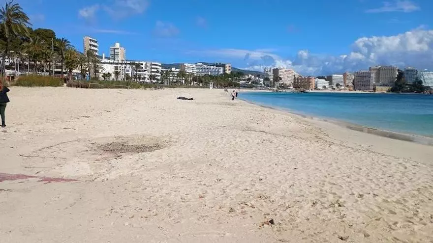 Playa de Magaluf, sin servicios de temporada por el momento, este domingo