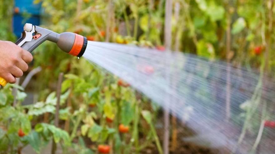 Tierras para poder cuidar y cultivar.