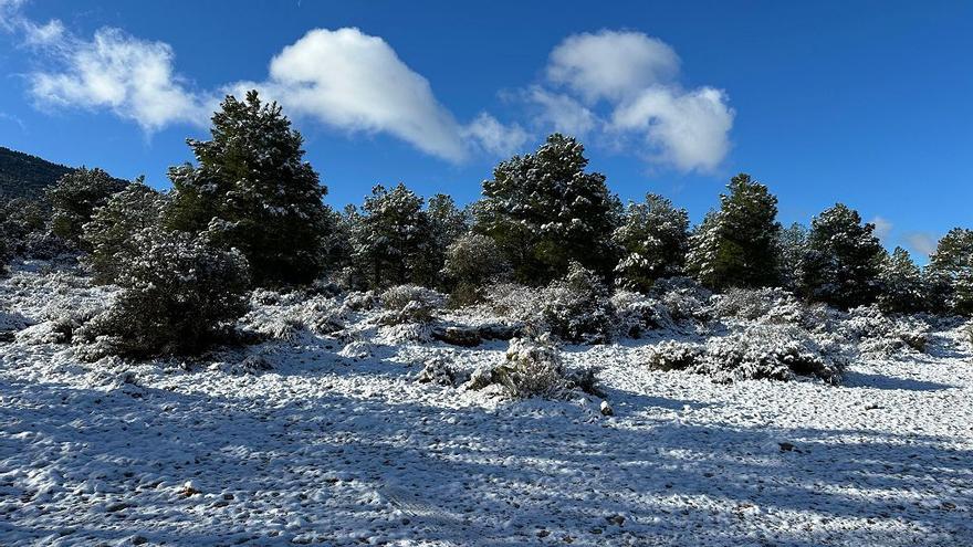 Fotos | Las mejores imágenes de los paisajes nevados de Moratalla este lunes