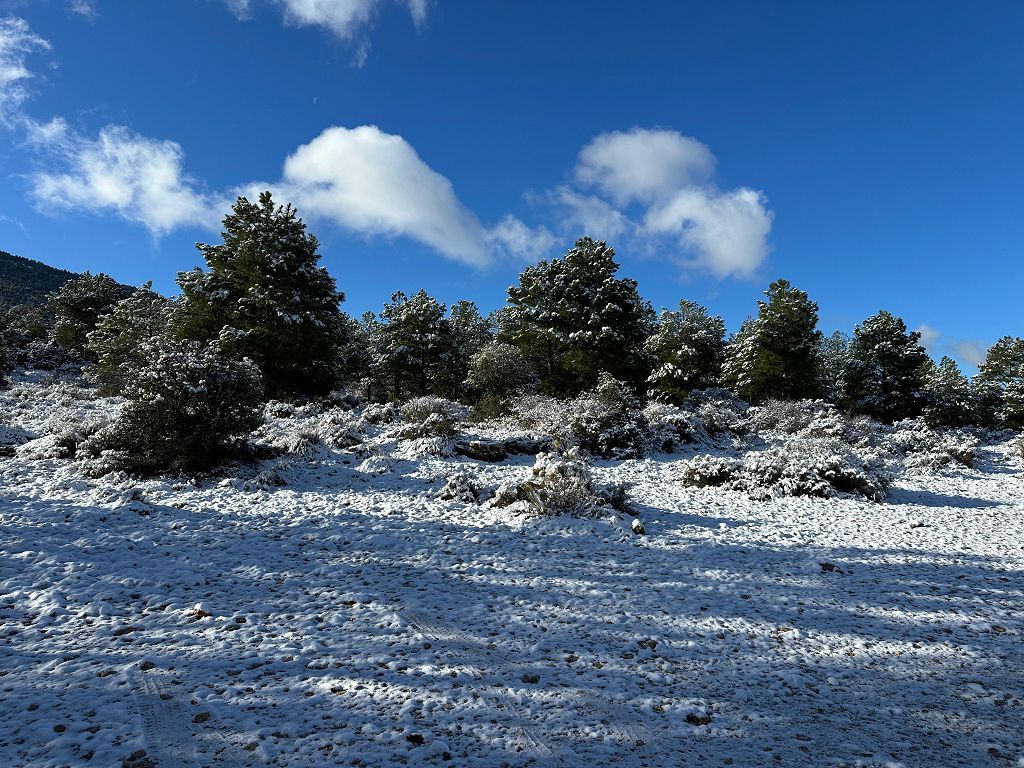 La nieve cumbra el techo de la Región en Cañada de la Cruz, Moratalla