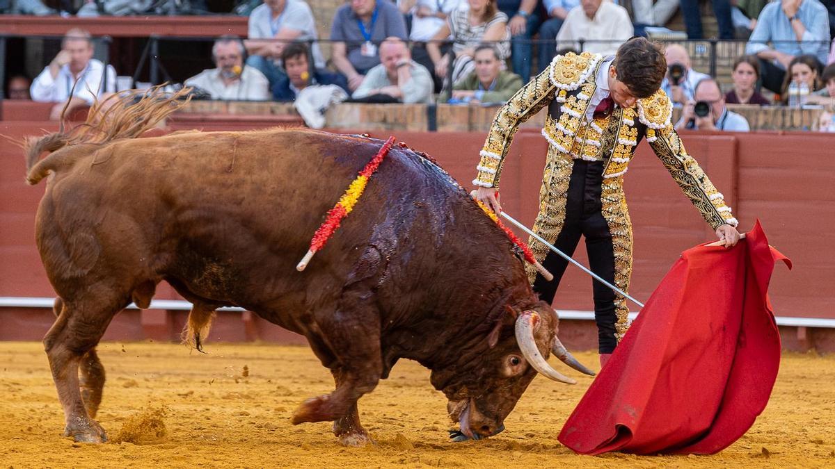 Toros en la Maestranza: imágenes de la cuarta corrida de abono en Sevilla