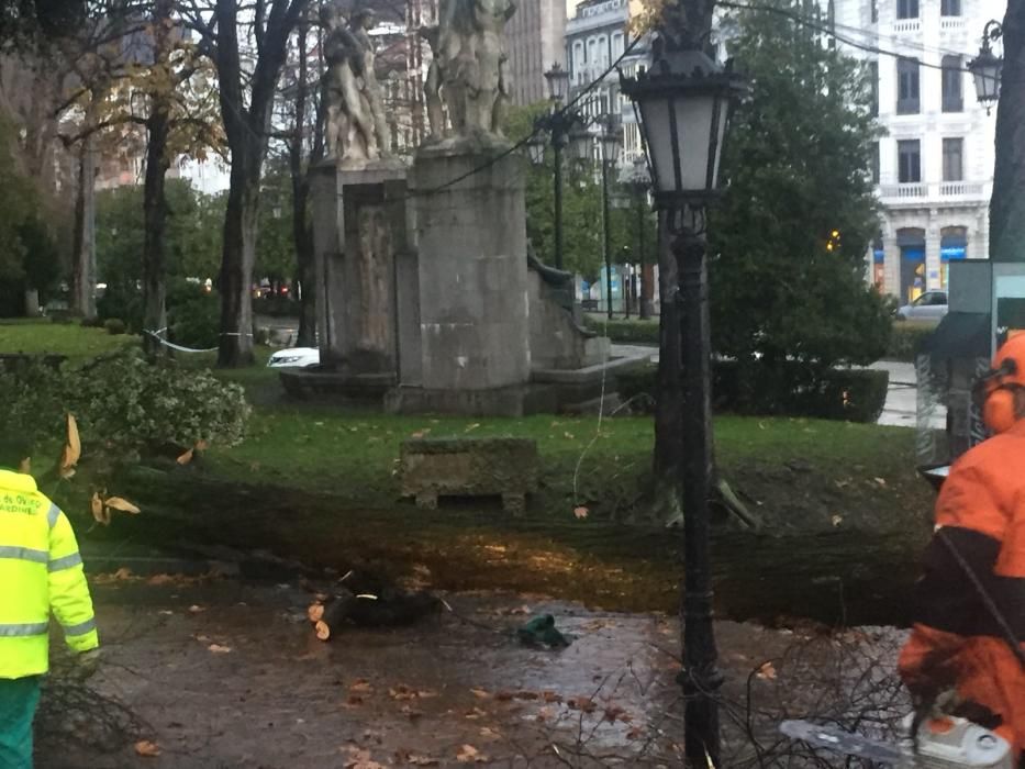 Destrozos en El Escorialín