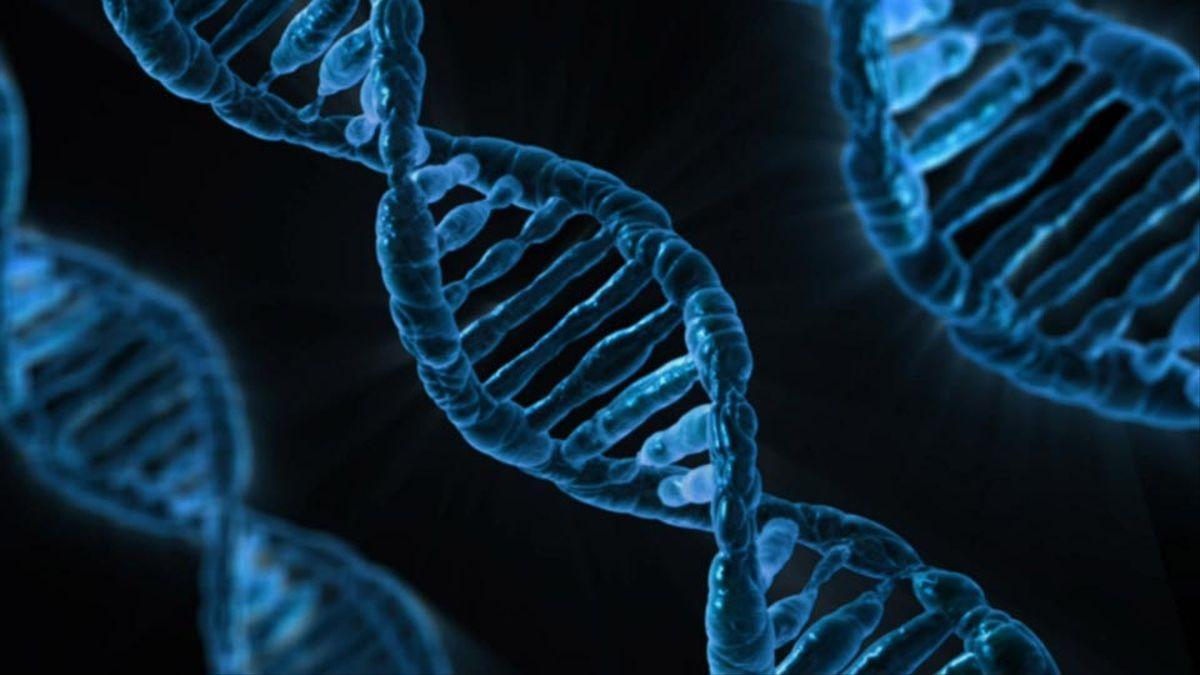 Logran publicar la secuencia completa del ADN del ser humano.