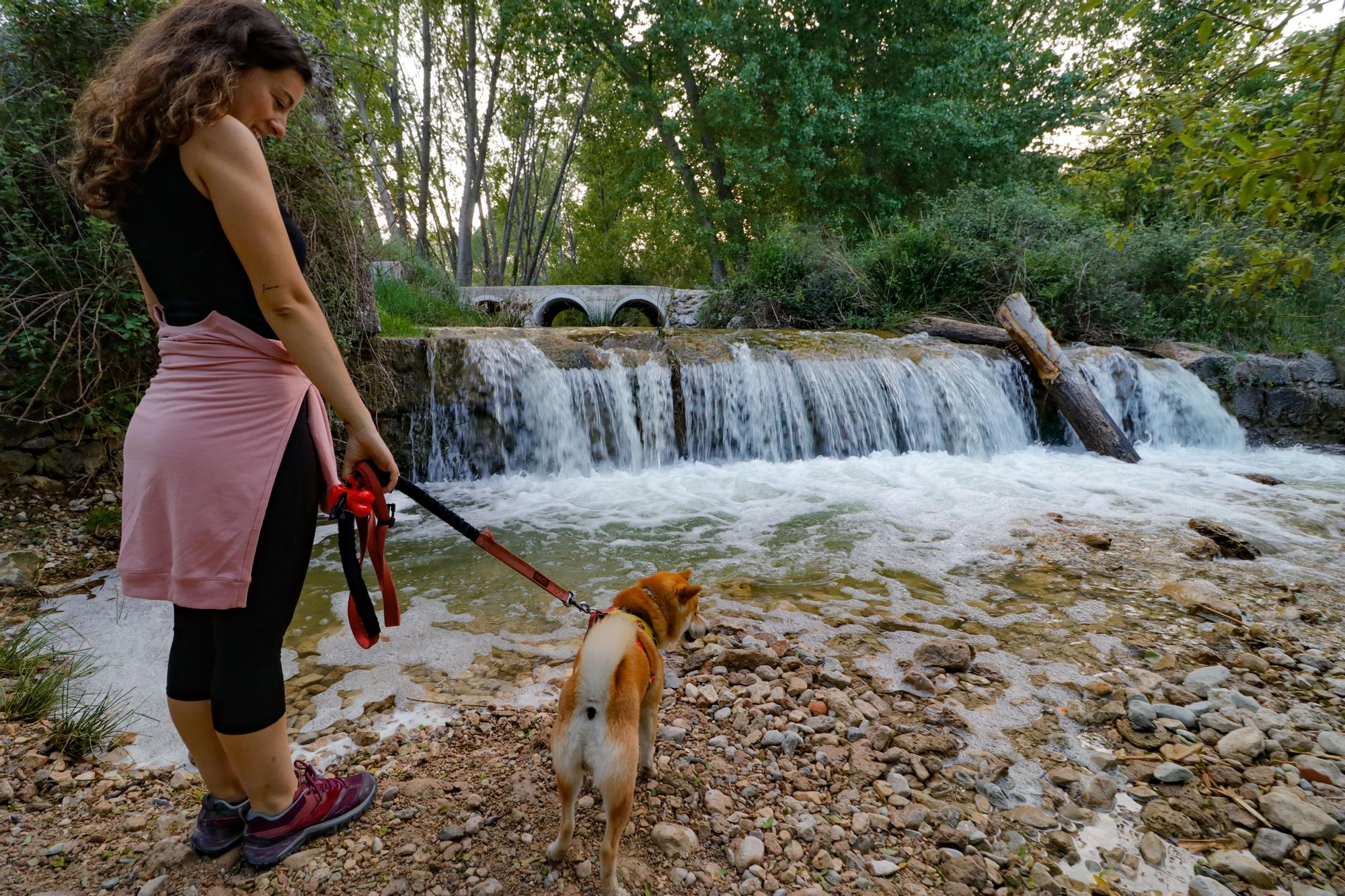 Los parajes de Alcoy se convierten en un reclamo turístico tras las lluvias de marzo y abril