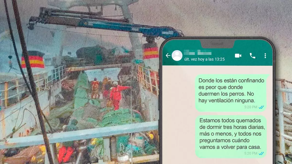 Miniatura del video