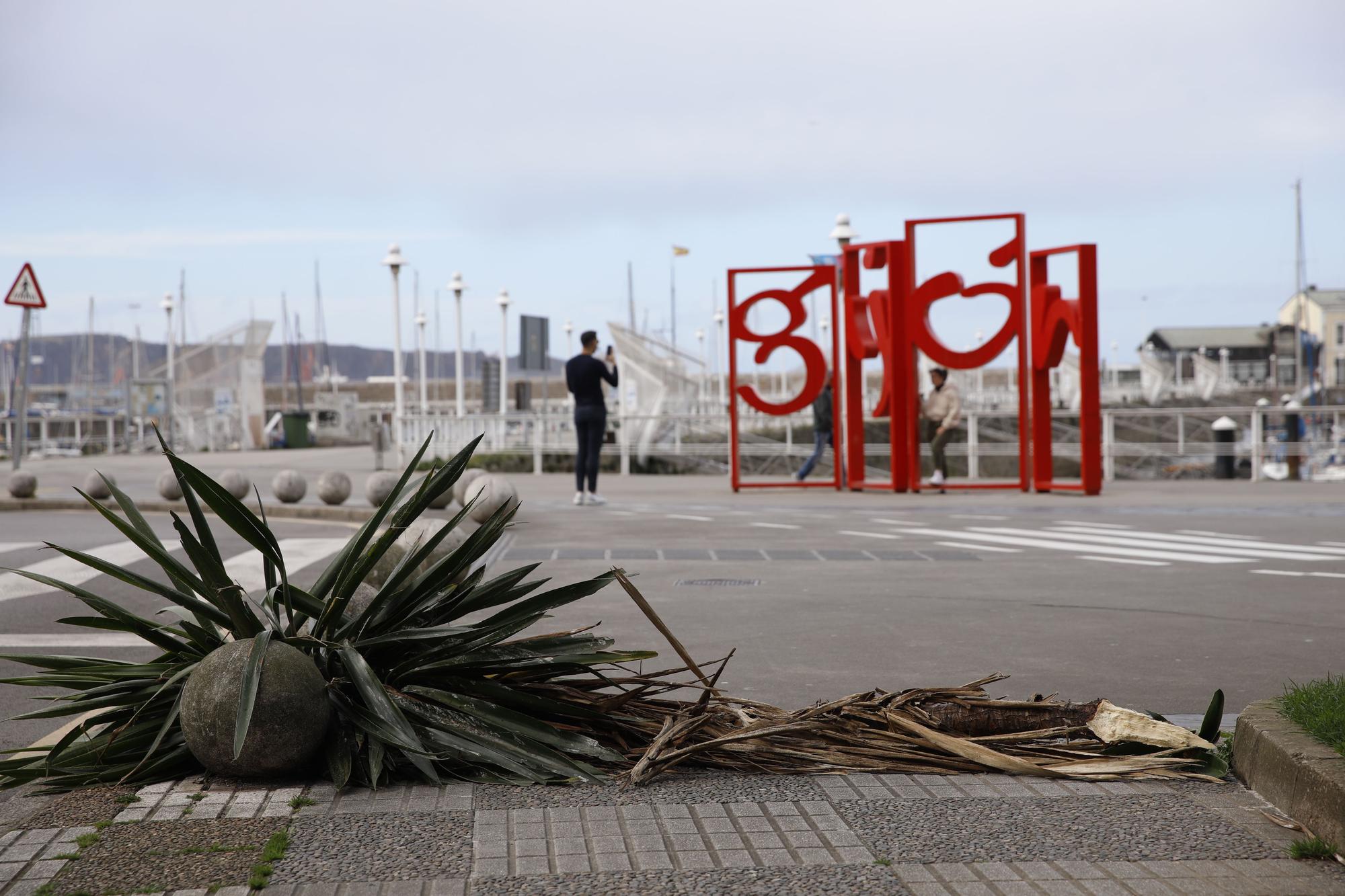 En imágenes: Así fue el impresionante temporal de viento que azotó Gijón este mediodía