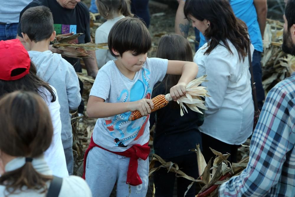 Cientos de vecinos de acercan al entorno del molino de Regueira para disfrutar de una jornada tradicional