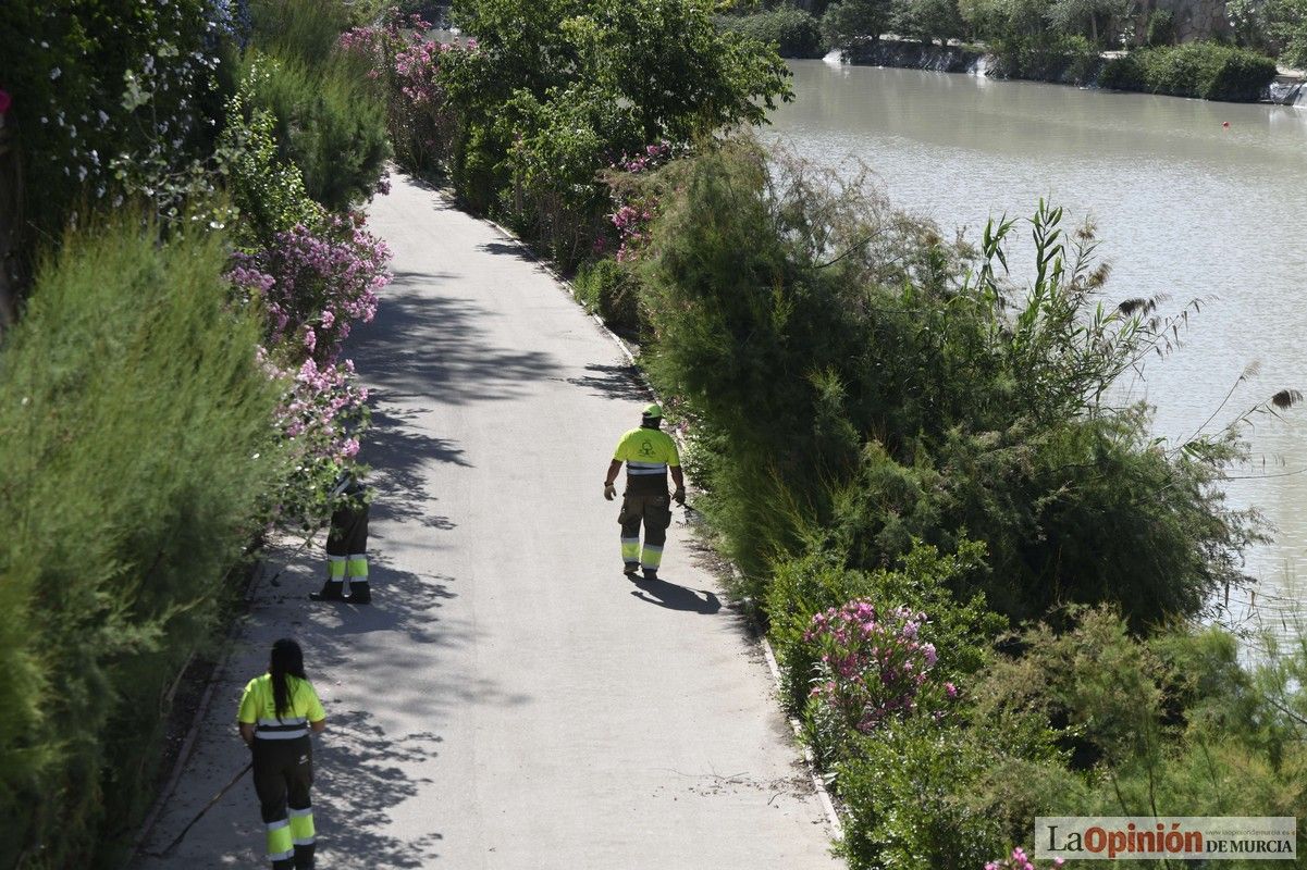 Todas las imágenes del reto de limpieza del río Segura en Murcia