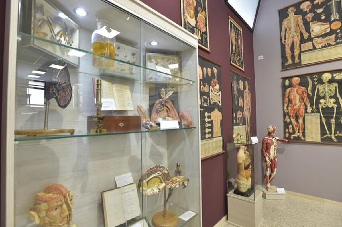 Inauguración del Aula Museo del IES Pérez Galdós