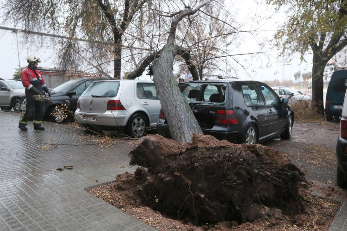 La borrasca 'Ana' deja su huella en Córdoba