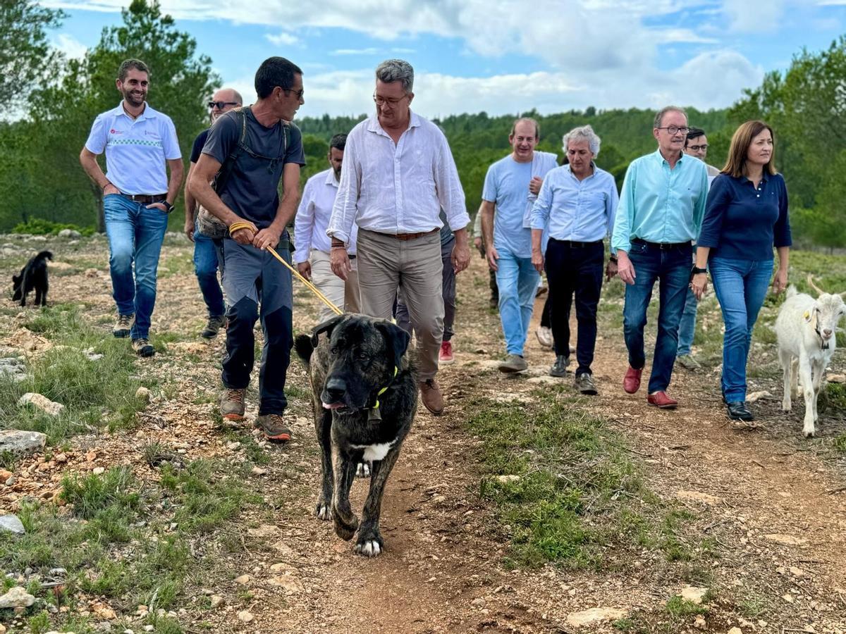 Martínez Mus, acompañado por el secretario autonómico de Medio Ambiente y Territorio, Raúl Mérida; la directora general de Prevención de Incendios, Rosa María Tourís, así como el alcalde de Alcalà de Xivert, Francisco Juan y otros cargos municipales, en la visita a la zona.