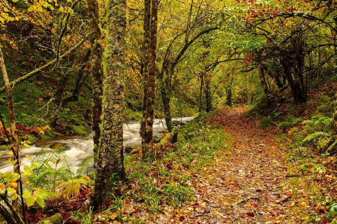 Reserva Natural de Muniellos, pueblos bonitos españoles en otoño