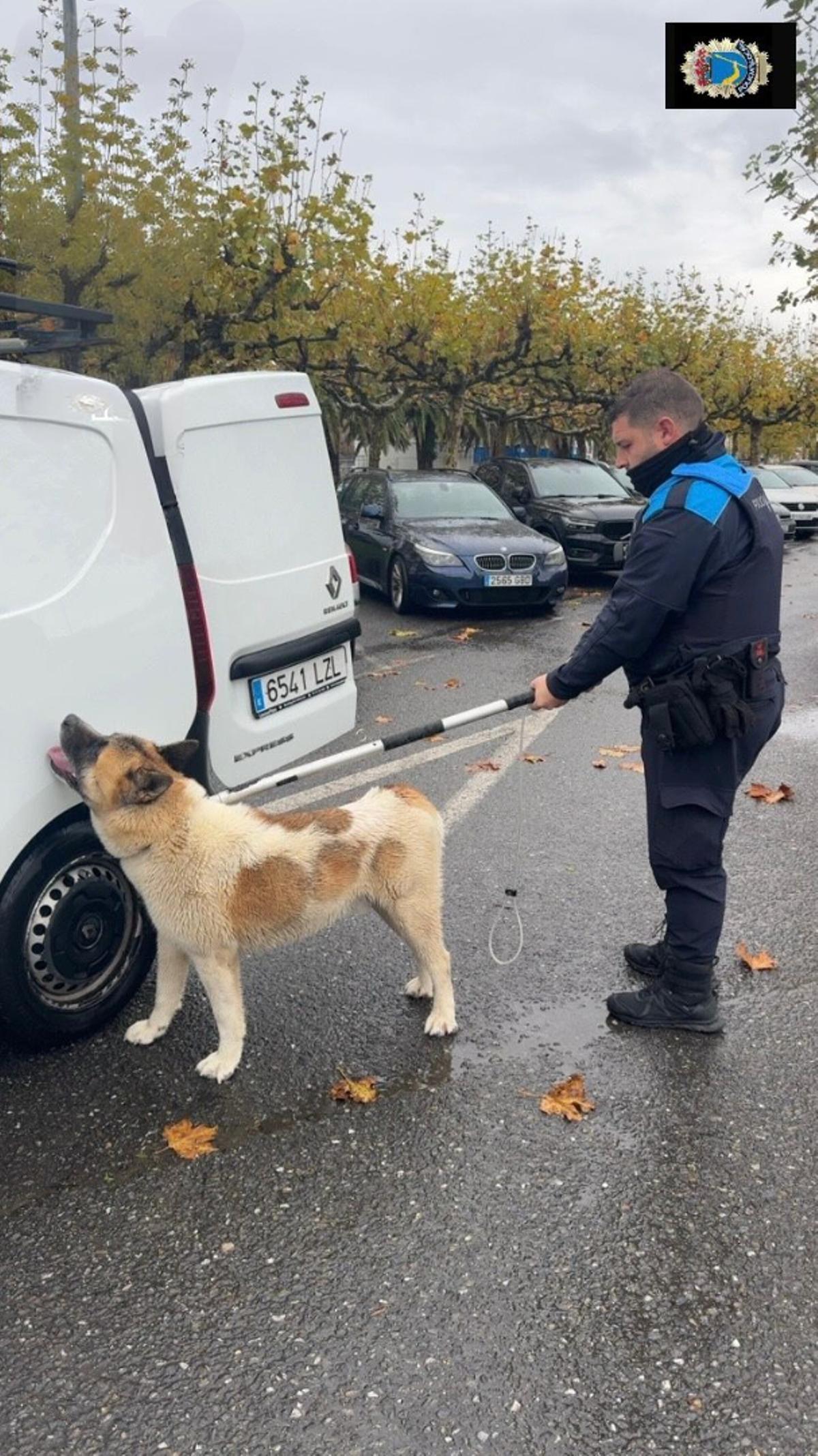 El perro y uno de los agentes.