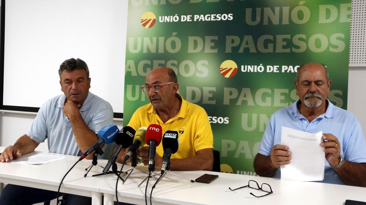 Roda de premsa d'UP sobre els parcs fotovoltaics.