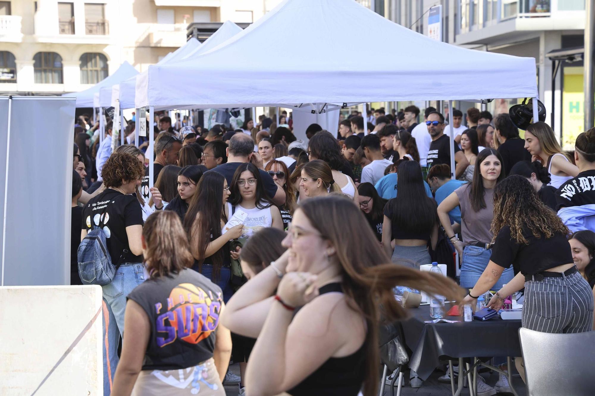 Elche muestra en una feria municipal con 36 centros educativos su apuesta por la FP