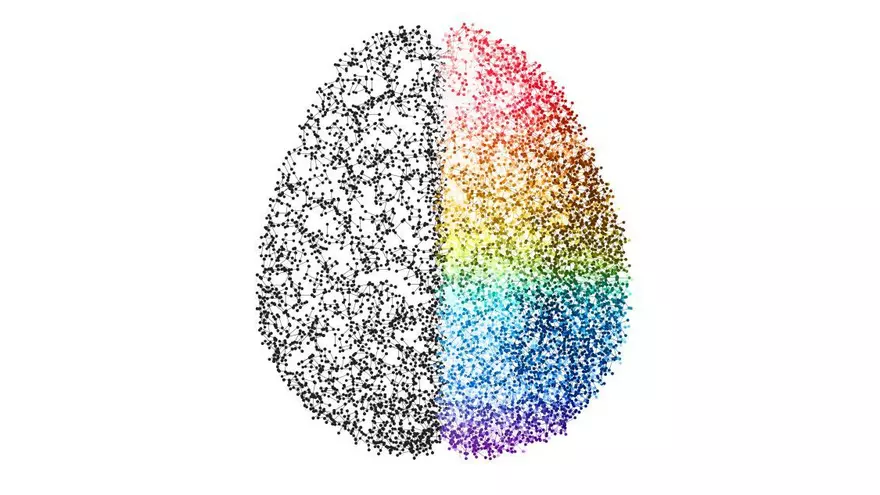 La inclusió social de la neurodiversitat