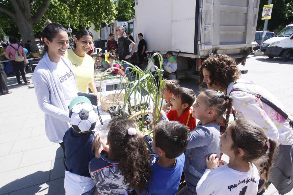 Uns 300 infants fan de paradistes per un dia al Mercat del Lleó