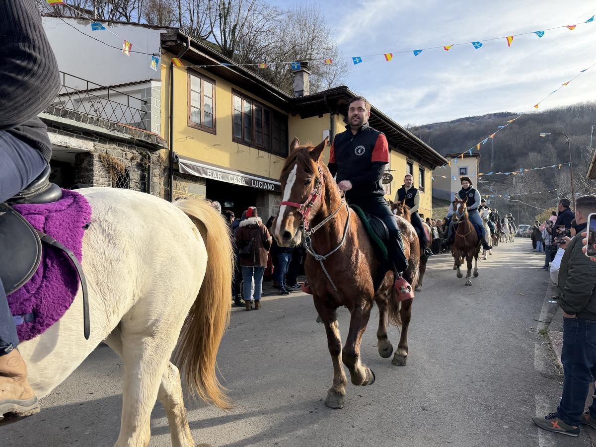 El guirria reaparece por el Año nuevo en Beleño