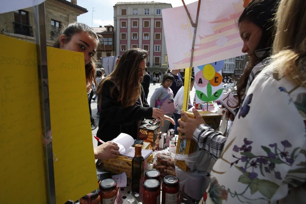 Mercado de cooperativas y asociaciones en Avilés