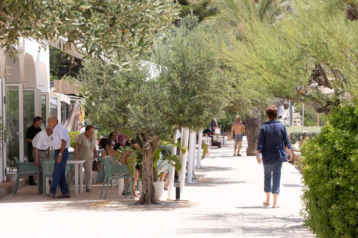 Galería: El verano en sa Cala