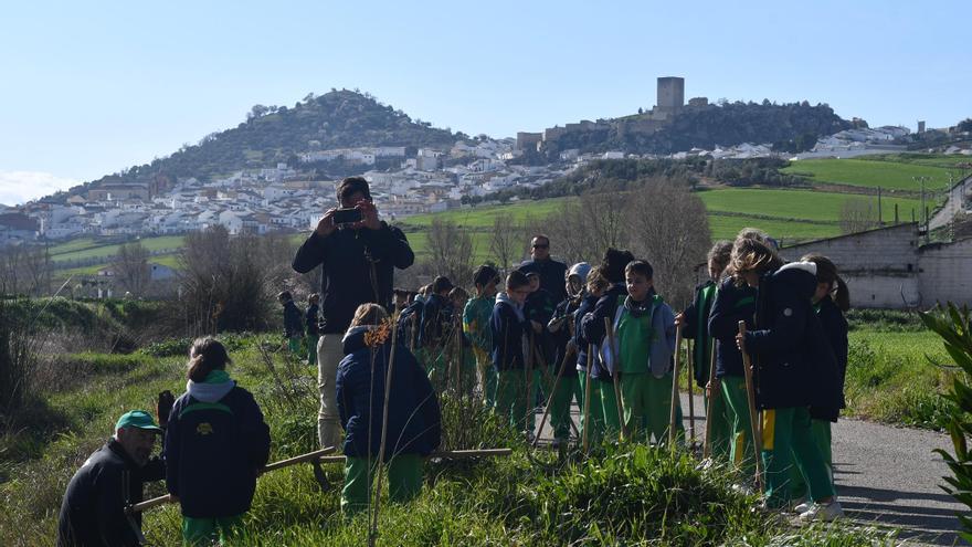 Cañete la Real impulsa una plantación de árboles para escolares