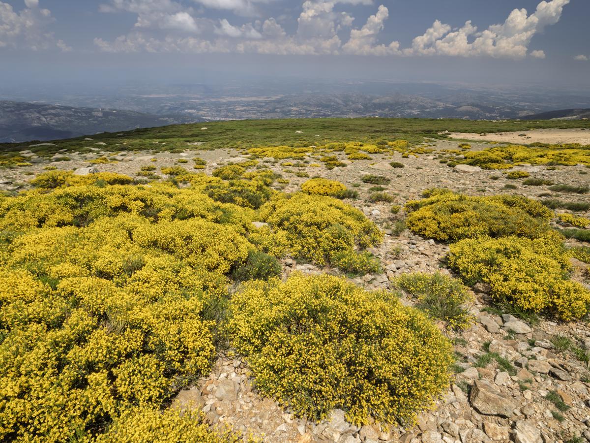 Panorámica de la Sierra de Gredos en verano.