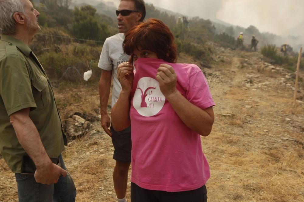 Incendio en los montes de León