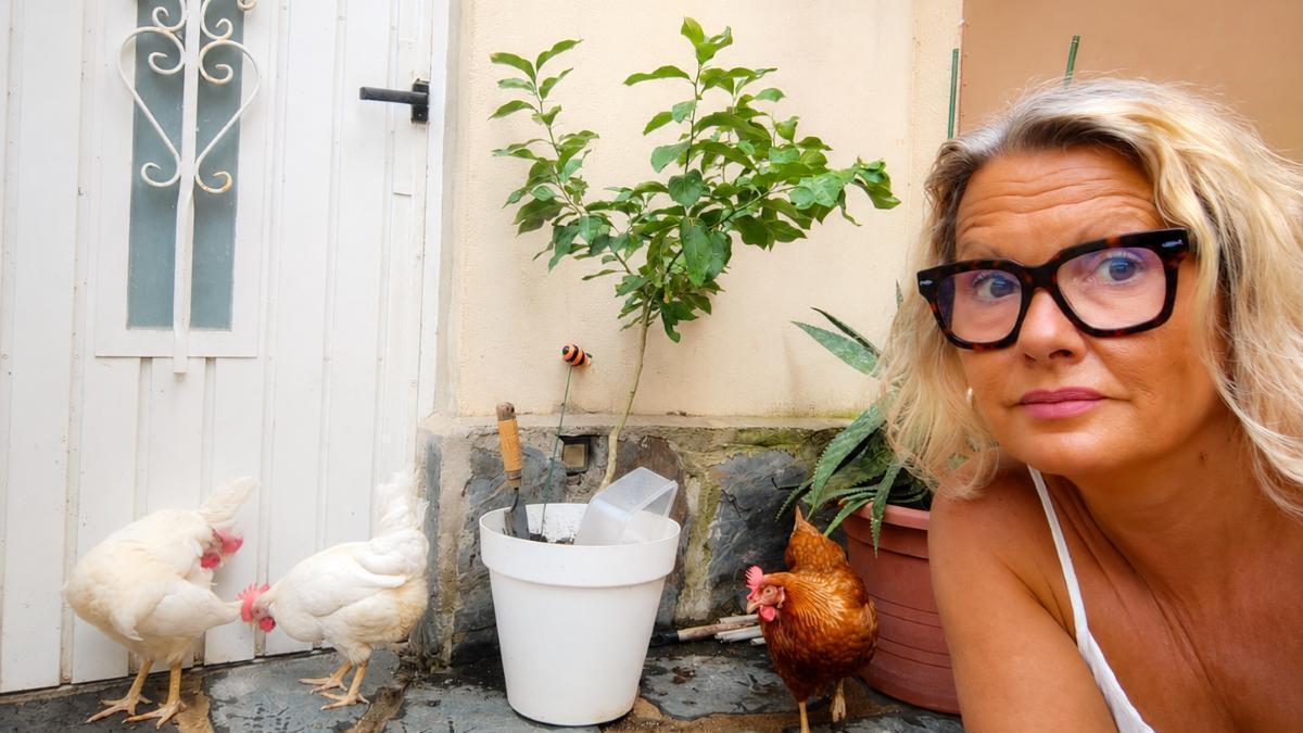 Mònica Gascón denuncia el feixuc procediment per registrar les quatre gallines que té a casa.