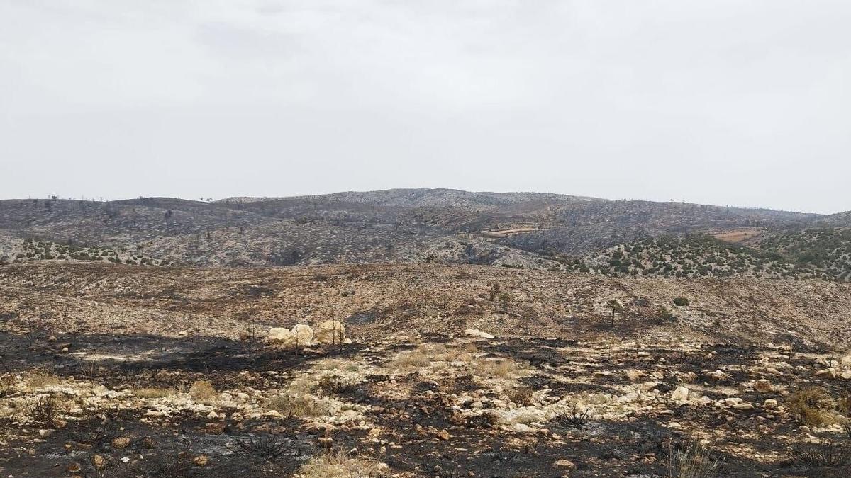 Superficie calcinada por el incendio de Ejulve (Teruel), que ha afectado a unas 1.400 hectáreas.
