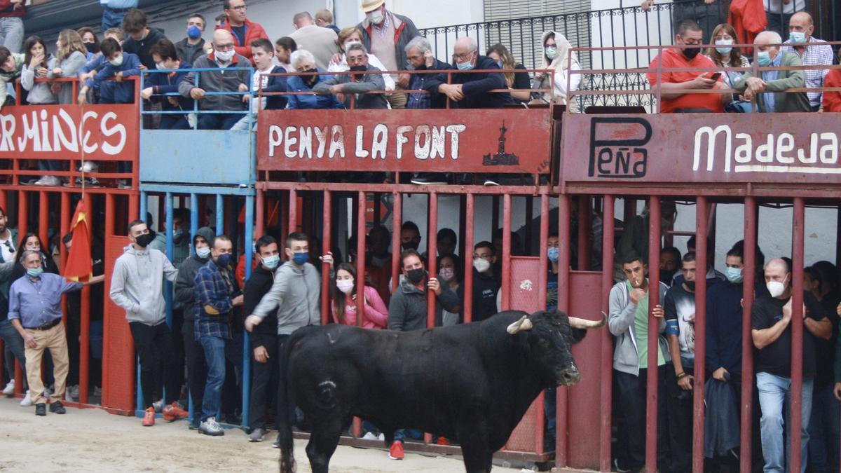 La prueba de los astados congregó a muchos aficionados de la provincia.