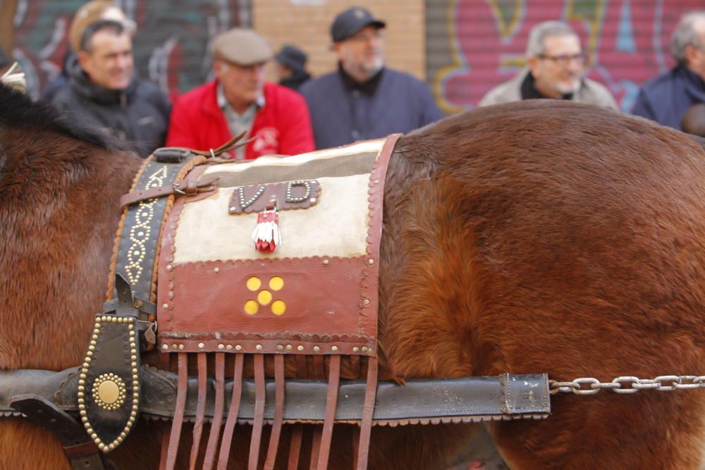 Sant Antoni en Valencia 2017