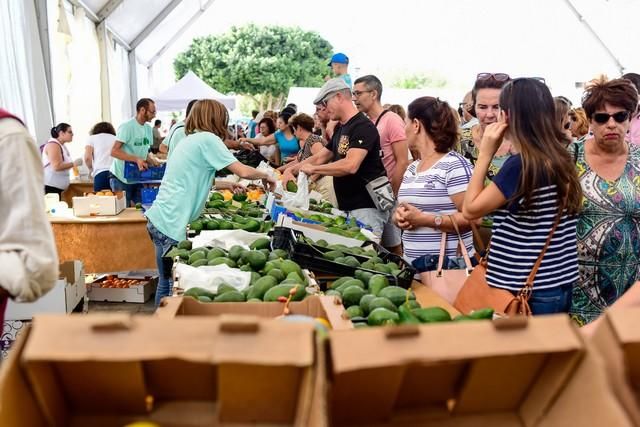 II Feria del Aguacate en Arguineguín