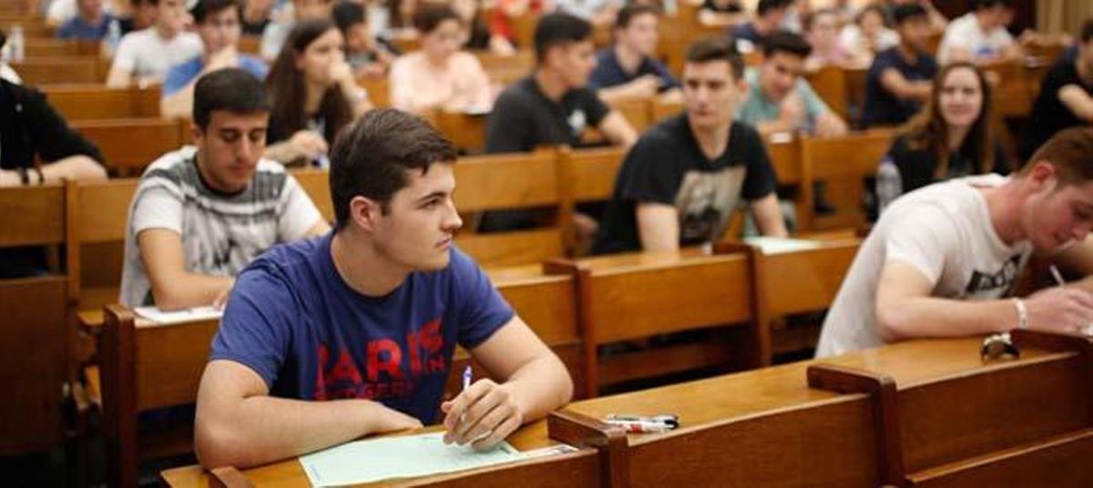 Los estudios STEM generan una mayor empleabilidad.