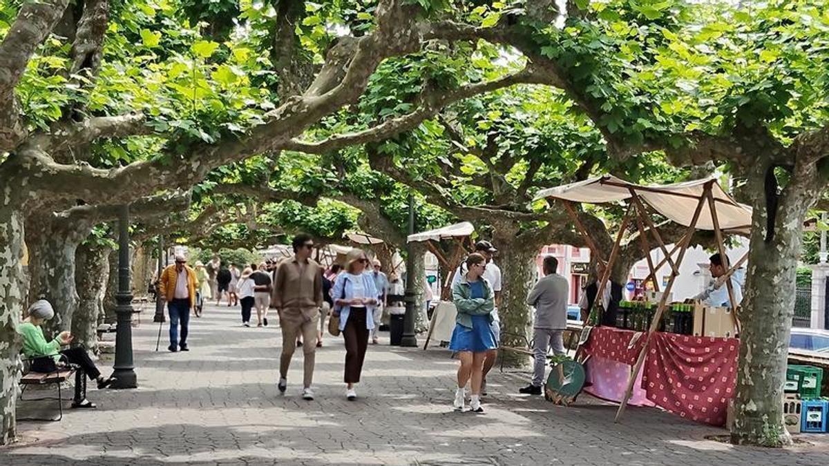 Los "Domingos de Llantariega", feria agroecológica y de producción local, este fin de semana en Llanes.