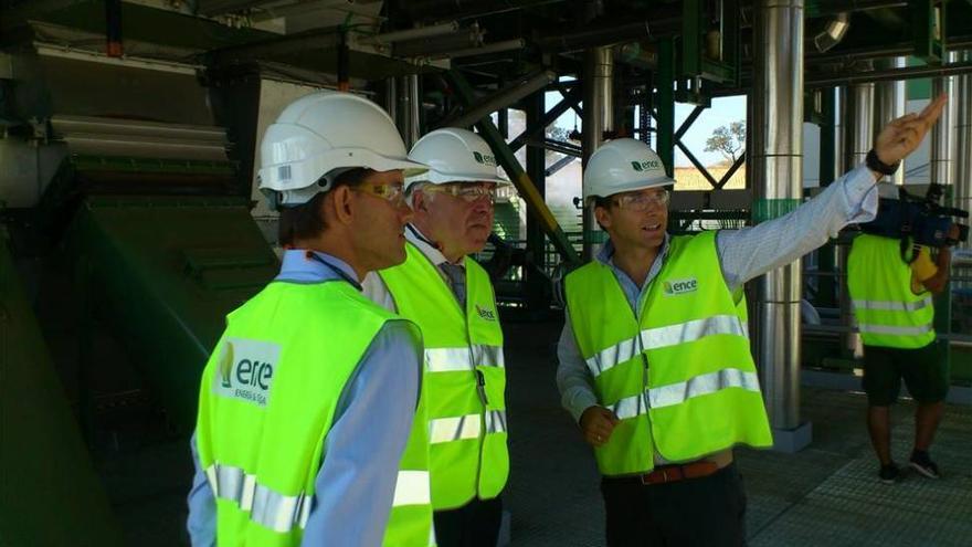 La planta de biomasa de Mérida funcionará a pleno rendimiento a final de año