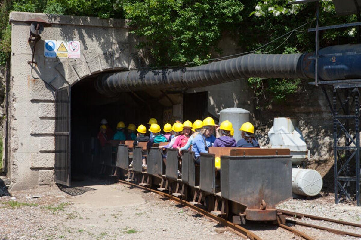 Visitants. Visitants Museu de les Mines de Cercs i activitats per la canalla sobre els dinosaures estiu 2013