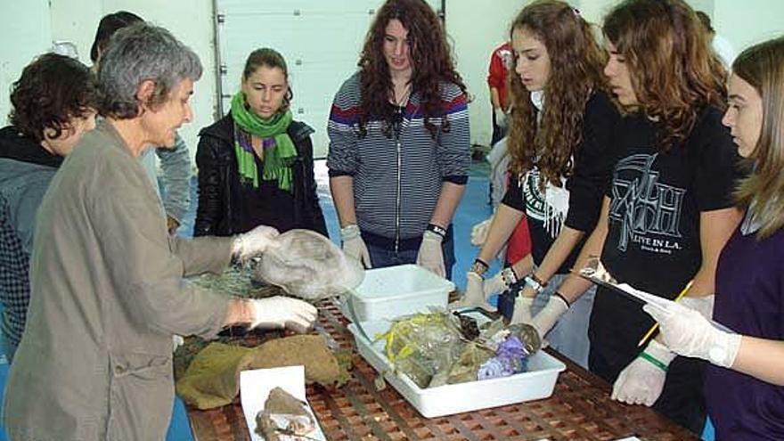 Alumnes de l&#039;institut de Palamós fent la selecció dels plàstics.