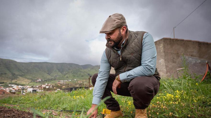 Nace AVARTE: productores tinerfeños apuestan por la agricultura regenerativa para frenar la degradación del suelo