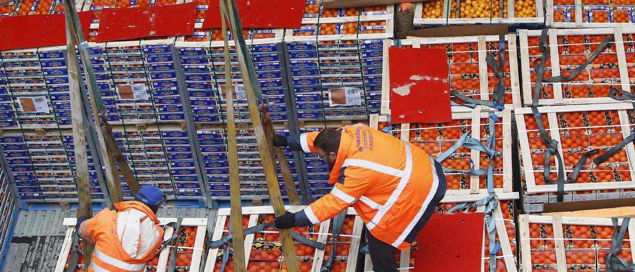 Dos trabajadores cargan un buque de naranjas en el puerto de Castellón. El sector reclama el tratamiento en frío para los cítricos sudafricanos.