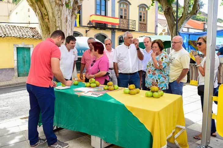 Fiesta de la manzana de Valleseco