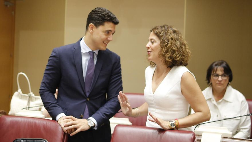 Los dipuatados de PSOE y Vox, Juan Andrés Torres y María José Ruiz, respectivamente.