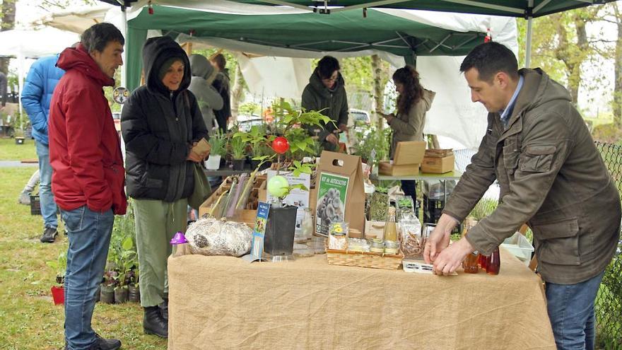 Uno de los puestos de la 8ª Feira de Sementes e Plantón Ecolóxicos de Leboso, hoy. // Bernabé / Juan Carlos Asorey