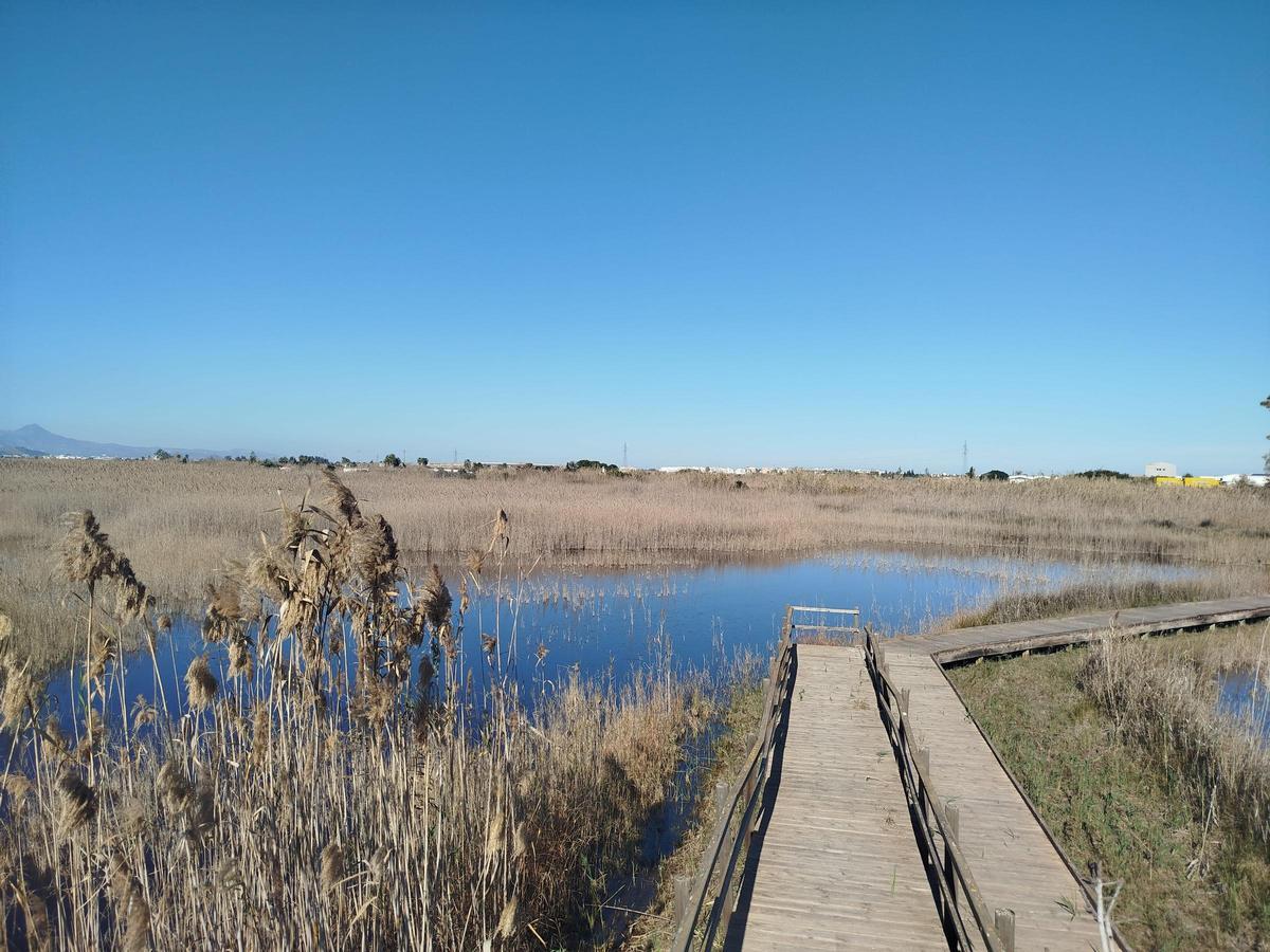 Marjal de Pego y Oliva