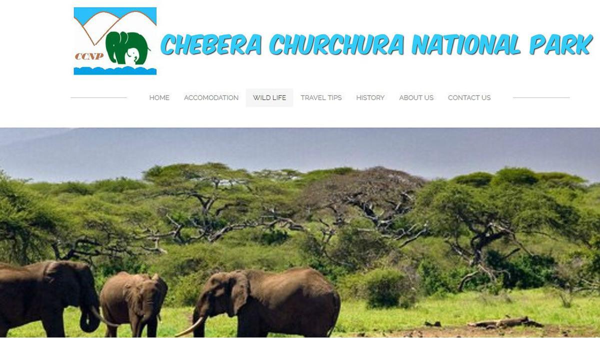 Imagen de la web del parque natural de Chebera-Churchura, en el sur de Etiopía