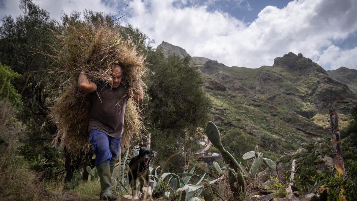 Paco camina rumbo a su granja de ovejas en la zona de El Pelotón, en Valle Brosque.