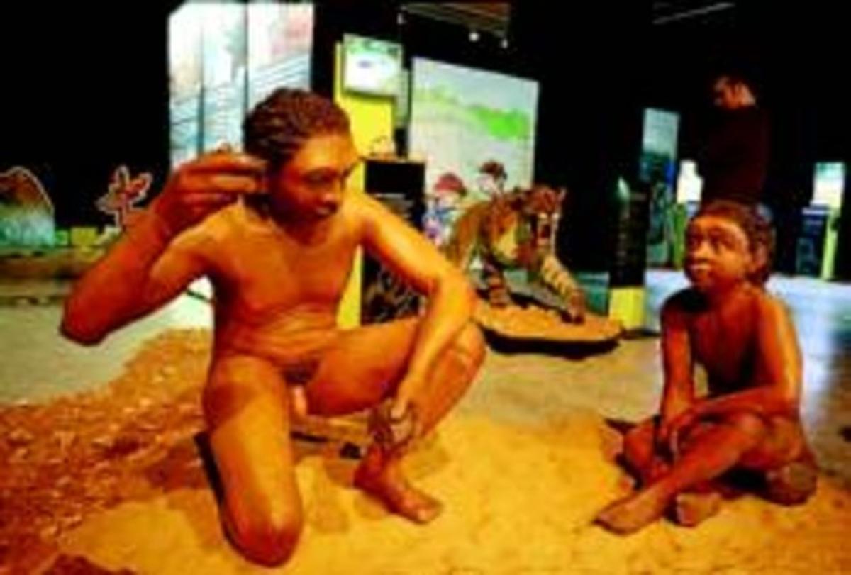 Rèplica de dos individus d’Homo antecessor. Al fons, el temible Homotherium latidens. Rèplica de dos individus d’Homo antecessor. Al fons, el temible Homotherium latidens.