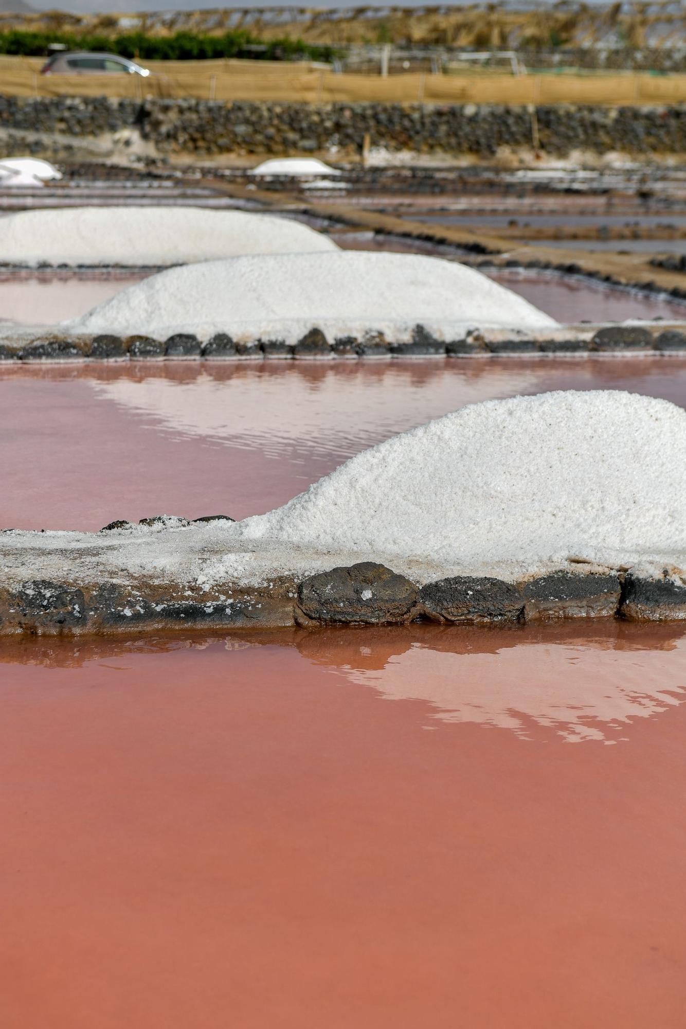 Salinas de Vargas