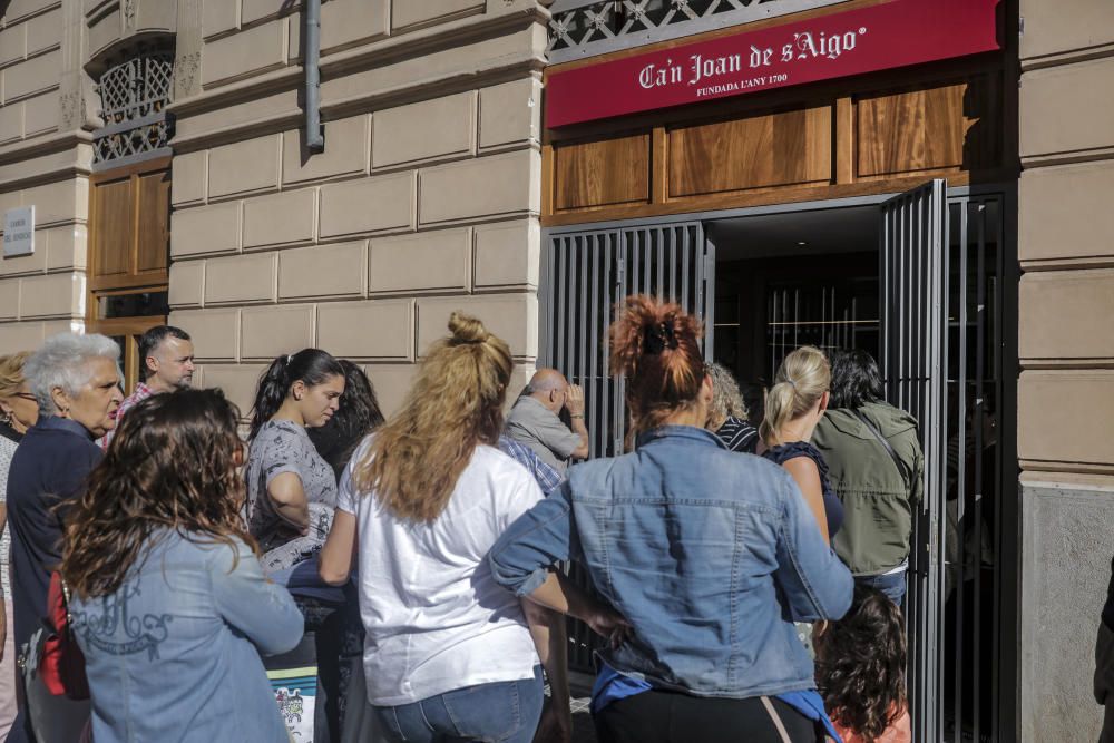 Erste Kundschaft im neuen Can Joan de s'Aigo