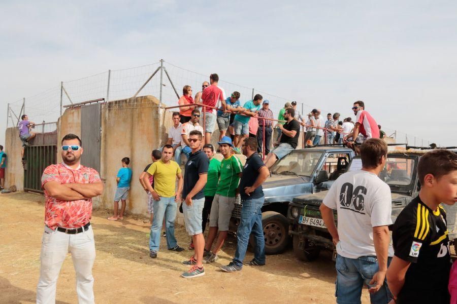 Fiestas en Zamora: Espantos en Carbajales