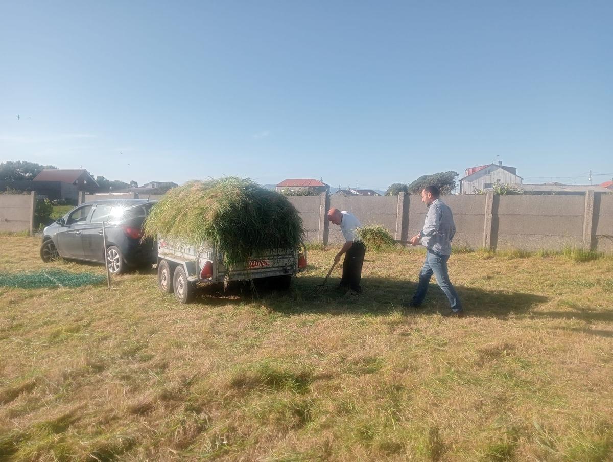 Comuneros recogiendo forraje para las reses.